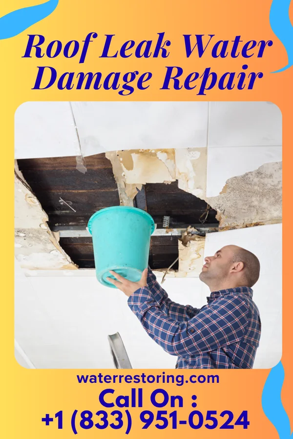 Roof Leak Water Damage Repair in Dunn, NC