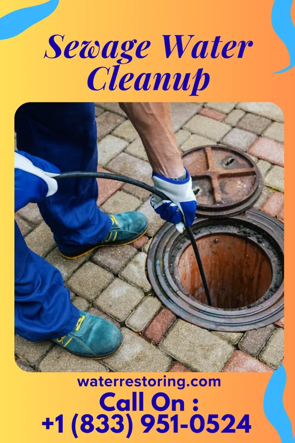 Sewage Water Cleanup in Dunn, NC